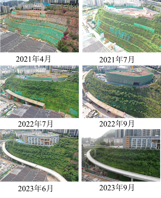 1697426205393005322.png 圖片4.png