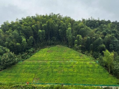 1720146302340068984.png image.png